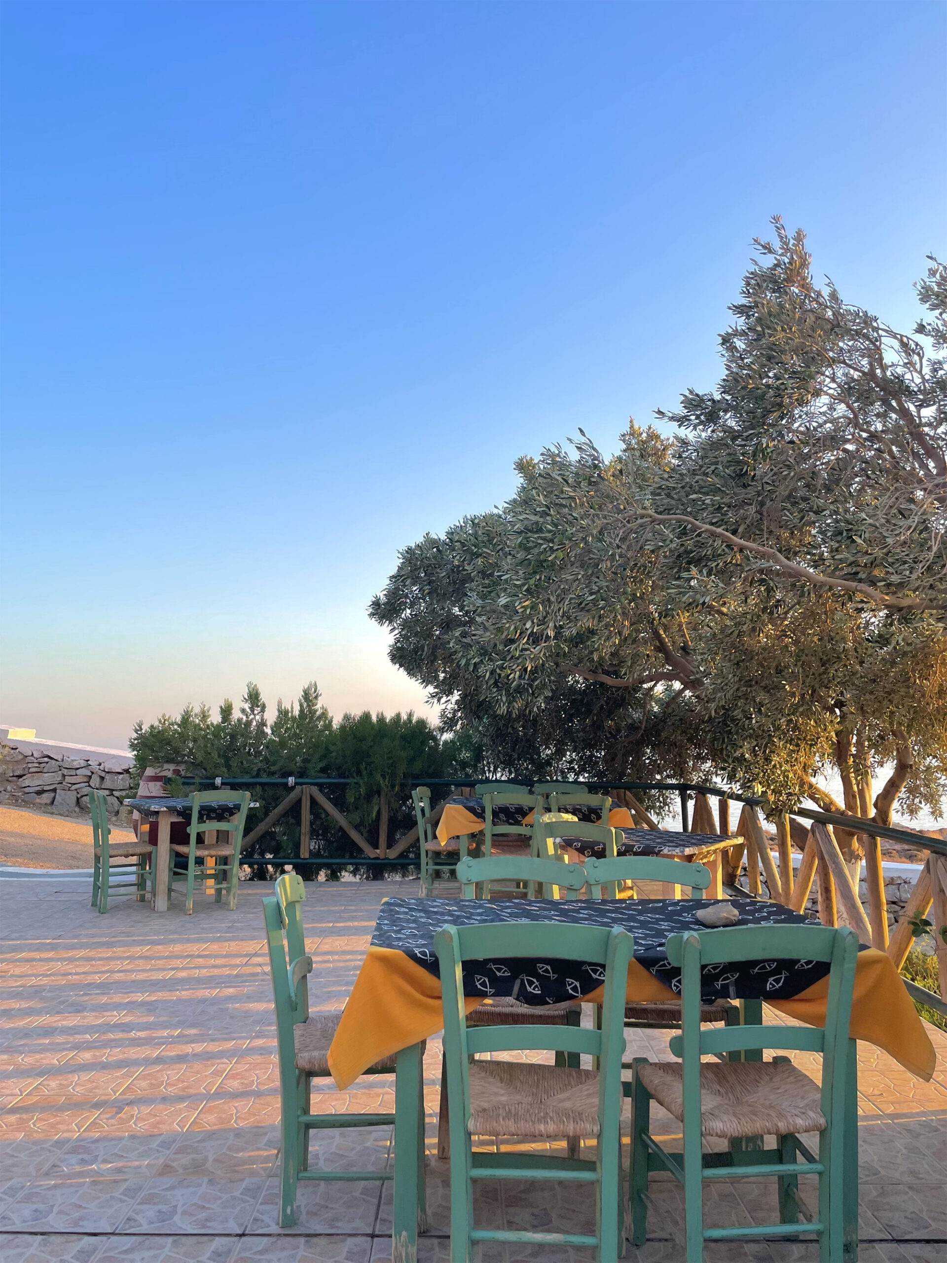 Terrasse mit Tischen unter Olivenbäumen