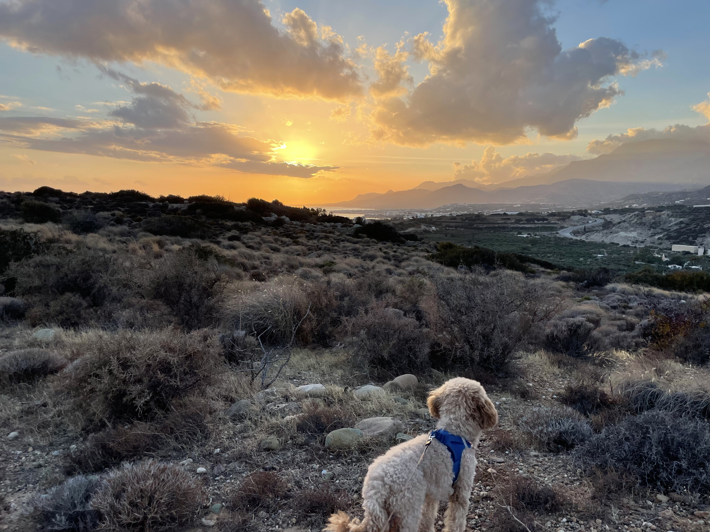 Sonnenuntergang mit MIello in Lagada - Wandern auf Kreta Makrigialos