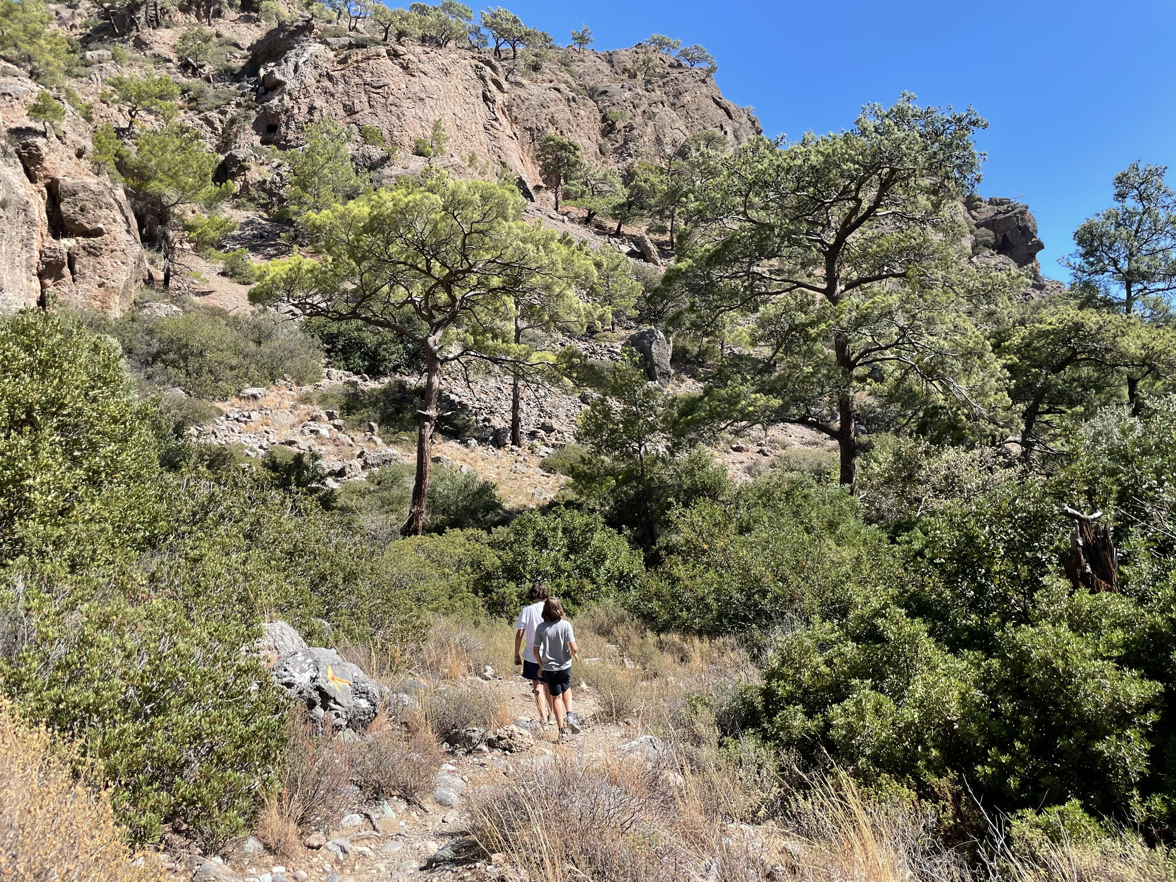 Butterfly Gorge - Wandern Makrigialos Kreta