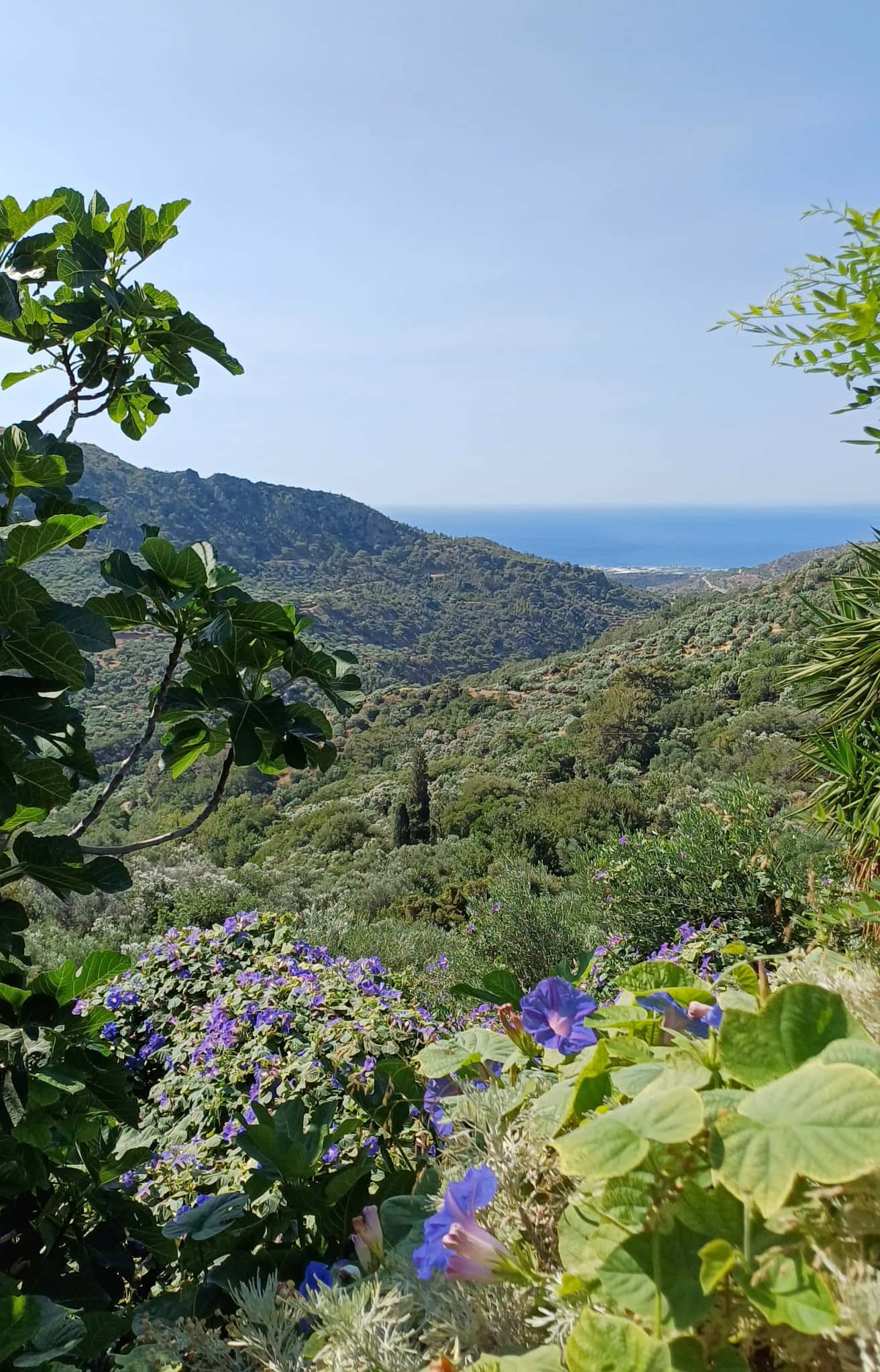 Keramikstudio in Stavrochori mit Meerblick – kreativer Töpferkurs auf Kreta