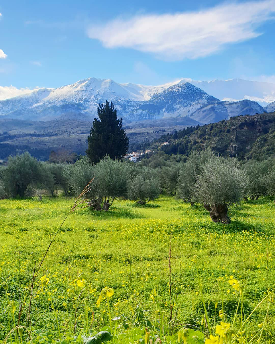 winter / christmas in crete