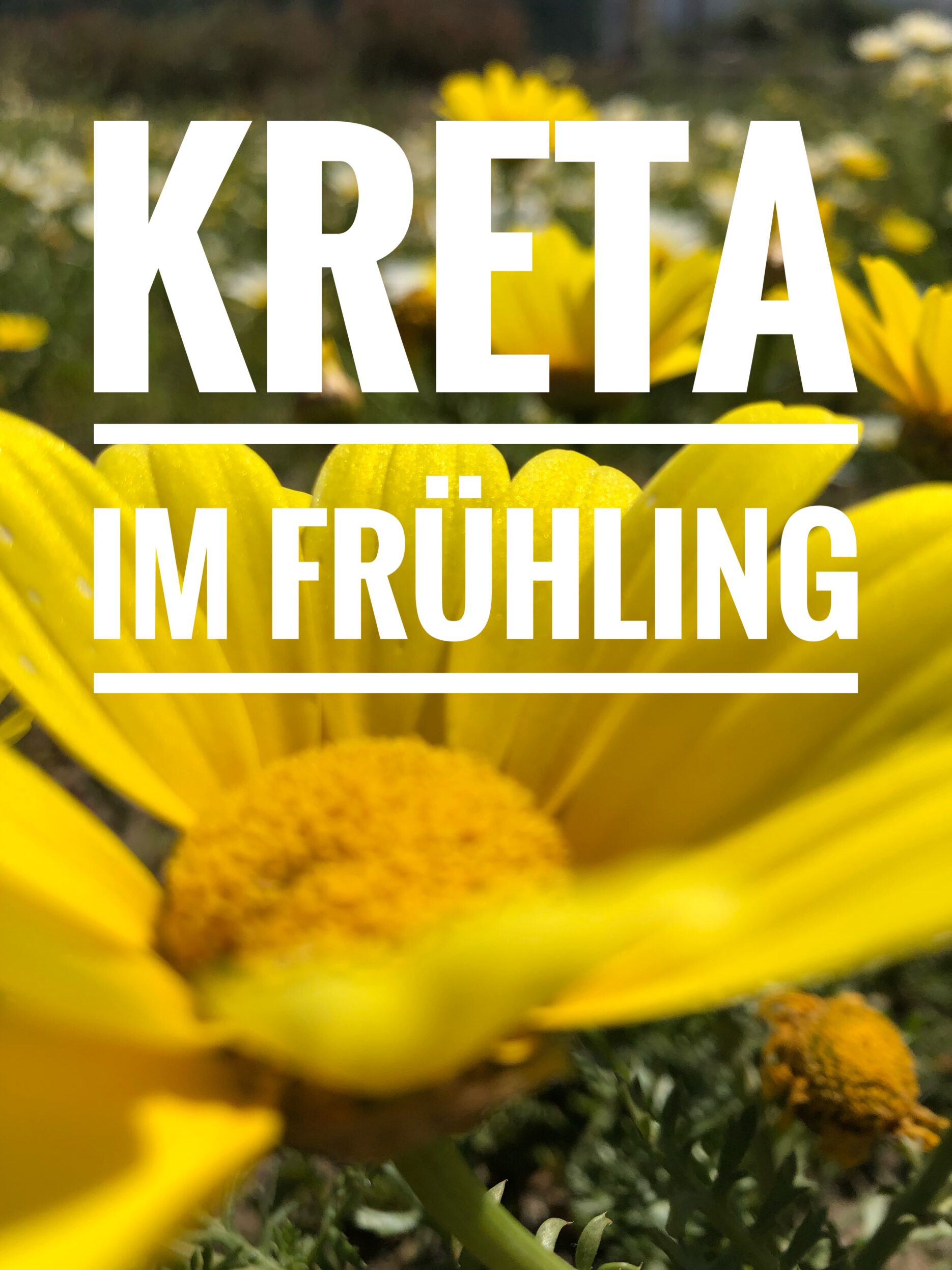 Kreta im Frühling: Die beste Zeit für 50+